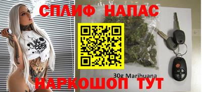 сатива Бузулук