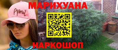 сатива Бузулук