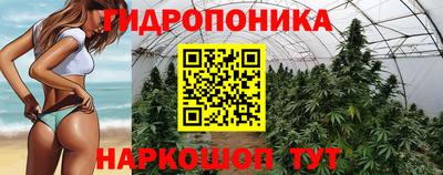 каннабис Будённовск