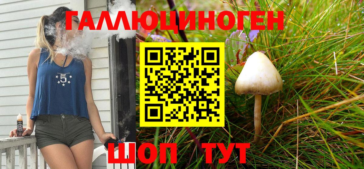 Галлюциногенные грибы Magic Shrooms Соль-Илецк